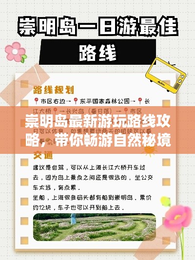 崇明岛最新游玩路线攻略，带你畅游自然秘境！