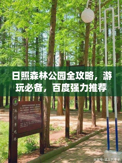日照森林公园全攻略，游玩必备，百度强力推荐！