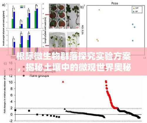寥若晨星 第4页