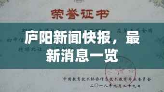 庐阳新闻快报，最新消息一览