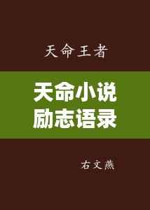 天命小说励志语录，激发无限潜能的短句精选