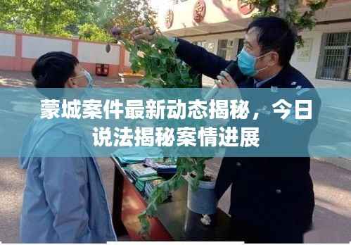 蒙城案件最新动态揭秘，今日说法揭秘案情进展