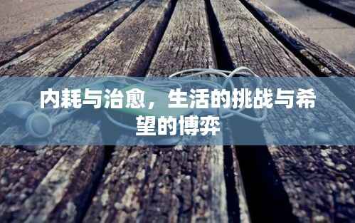内耗与治愈，生活的挑战与希望的博弈
