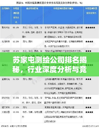 苏家屯测绘公司排名揭秘，行业深度分析与竞争力评估