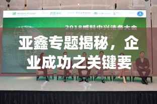 亚鑫专题揭秘，企业成功之关键要素探索