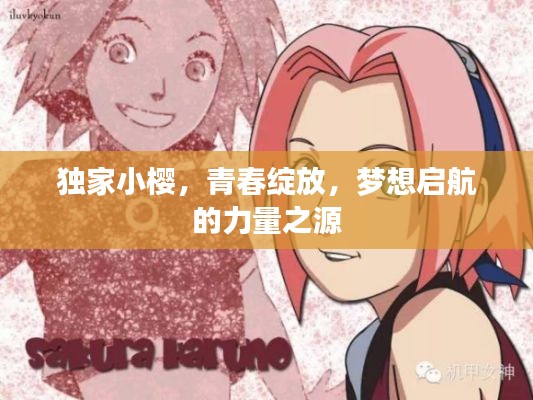 独家小樱，青春绽放，梦想启航的力量之源