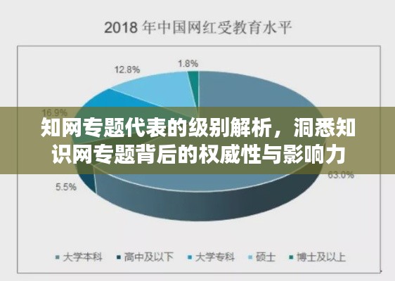 知网专题代表的级别解析，洞悉知识网专题背后的权威性与影响力