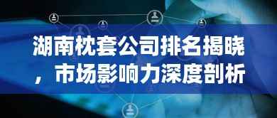 湖南枕套公司排名揭晓,市场影响力深度剖析
