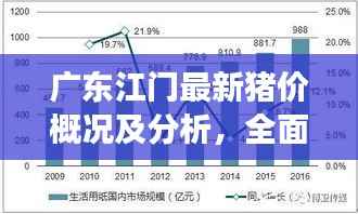 广东江门最新猪价概况及分析,全面解读今日猪价动态