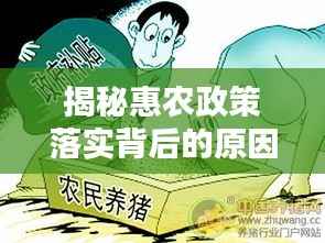 揭秘惠农政策落实背后的原因与意义