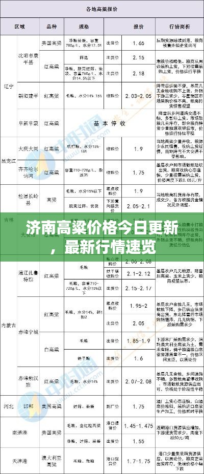 济南高粱价格今日更新，最新行情速览