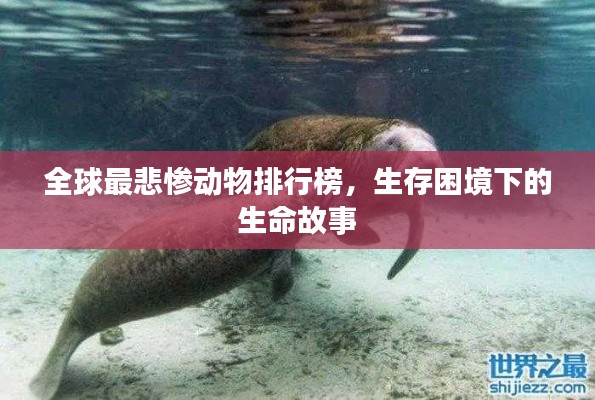 全球最悲惨动物排行榜，生存困境下的生命故事