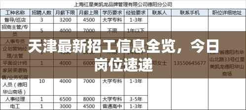 天津最新招工信息全览，今日岗位速递