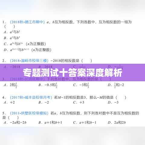 专题测试十答案深度解析