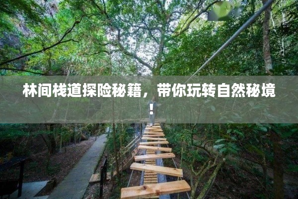 林间栈道探险秘籍，带你玩转自然秘境！