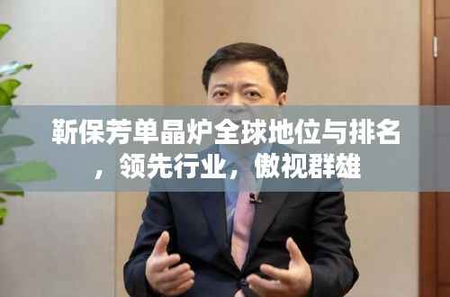 靳保芳单晶炉全球地位与排名，领先行业，傲视群雄