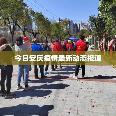 今日安庆疫情最新动态报道