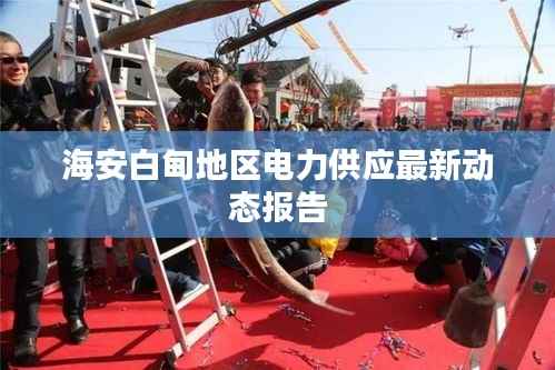 海安白甸地区电力供应最新动态报告