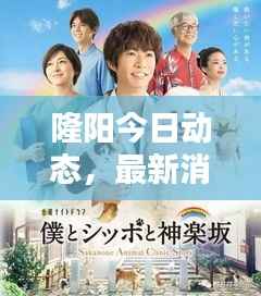 隆阳今日动态，最新消息一网打尽！