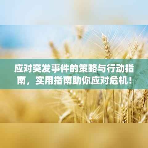 应对突发事件的策略与行动指南，实用指南助你应对危机！