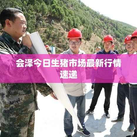 会泽今日生猪市场最新行情速递