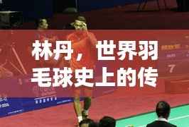 林丹,世界羽毛球史上的传奇巨星之巅