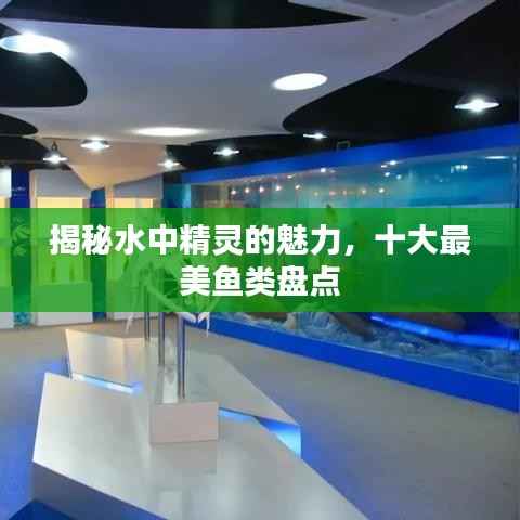 雍容华贵 第4页