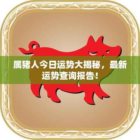 属猪人今日运势大揭秘，最新运势查询报告！