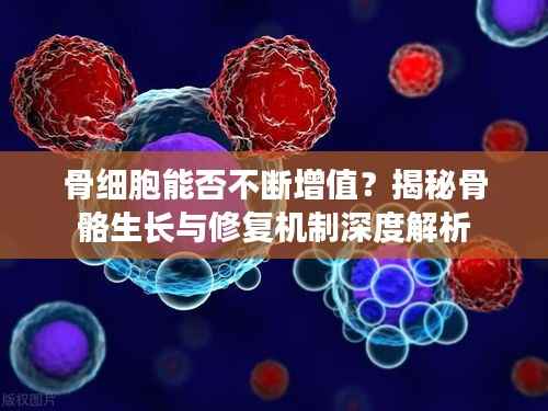 骨细胞能否不断增值？揭秘骨骼生长与修复机制深度解析
