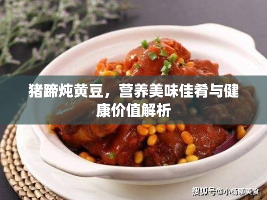 猪蹄炖黄豆，营养美味佳肴与健康价值解析