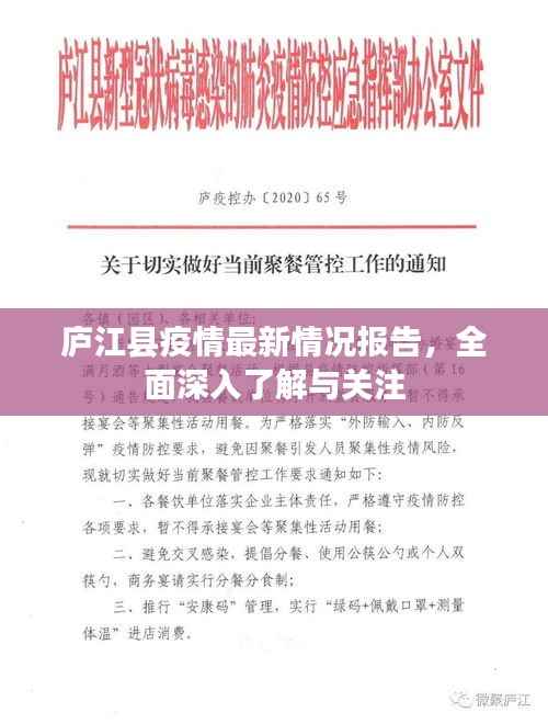 观往知来 第4页