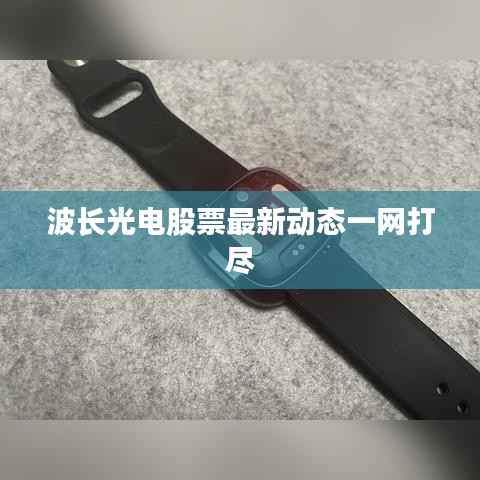 波长光电股票最新动态一网打尽