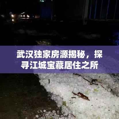 武汉独家房源揭秘，探寻江城宝藏居住之所