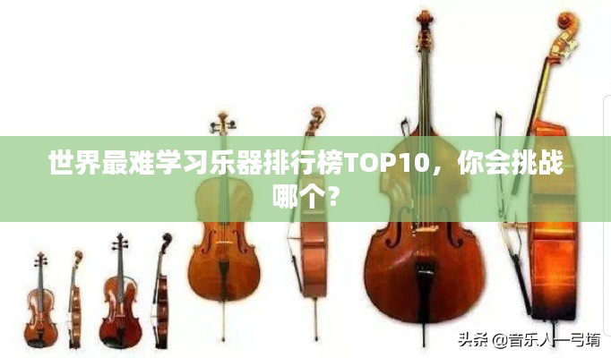 世界最难学习乐器排行榜TOP10，你会挑战哪个？