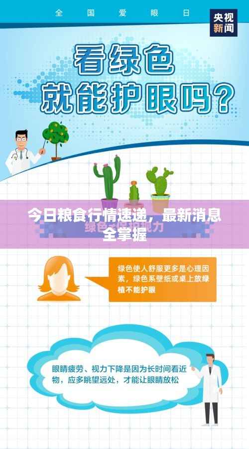 今日粮食行情速递，最新消息全掌握