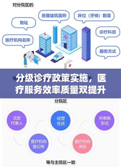 分级诊疗政策实施，医疗服务效率质量双提升