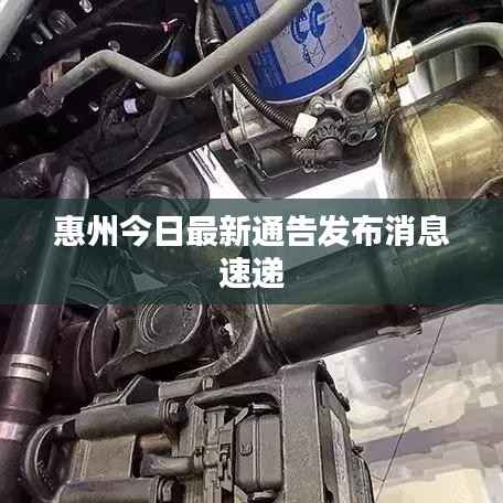 惠州今日最新通告发布消息速递