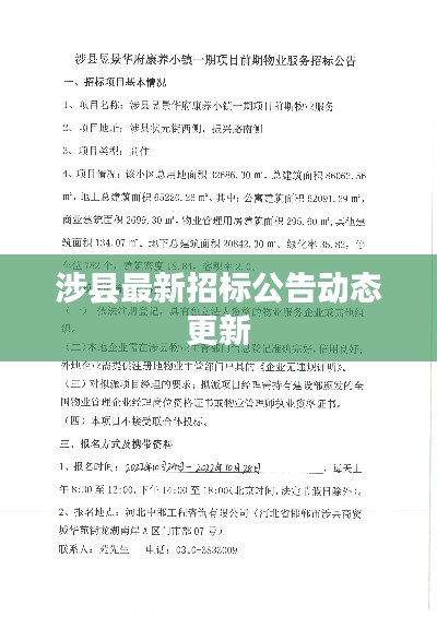 涉县最新招标公告动态更新