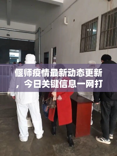 偃师疫情最新动态更新，今日关键信息一网打尽