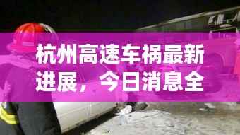 杭州高速车祸最新进展，今日消息全解析
