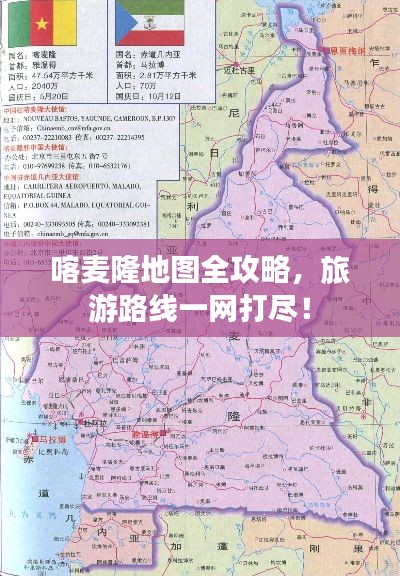 降尊纡贵 第4页