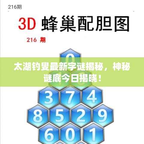 太湖钓叟最新字谜揭秘，神秘谜底今日揭晓！