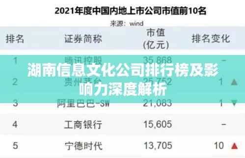 湖南信息文化公司排行榜及影响力深度解析