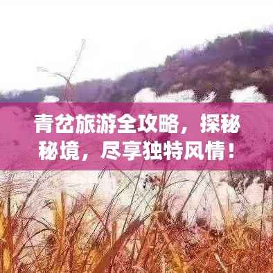 青岔旅游全攻略，探秘秘境，尽享独特风情！
