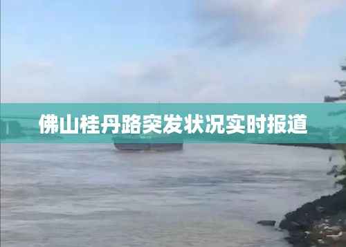 佛山桂丹路突发状况实时报道