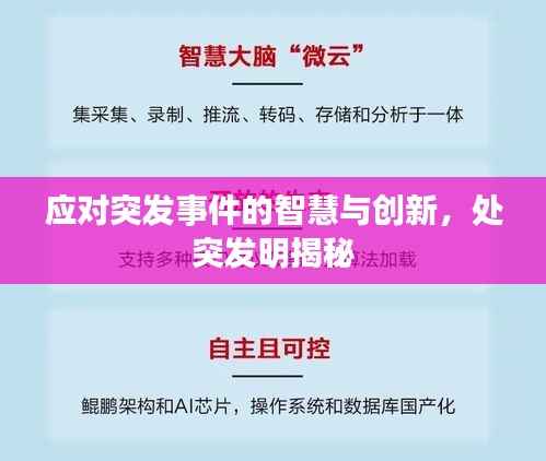 应对突发事件的智慧与创新，处突发明揭秘