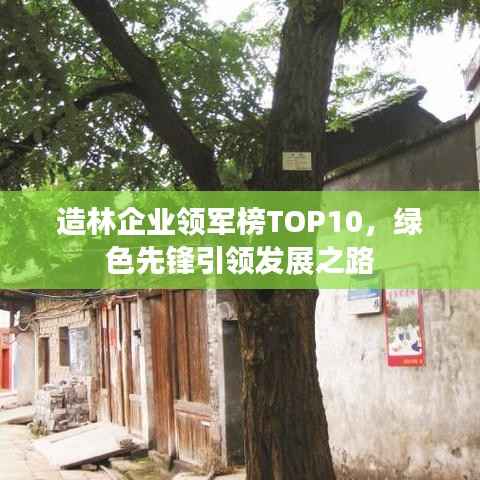 造林企业领军榜TOP10，绿色先锋引领发展之路