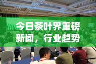 今日茶叶界重磅新闻，行业趋势与市场动态一网打尽