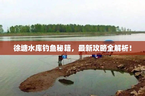 徐塘水库钓鱼秘籍，最新攻略全解析！