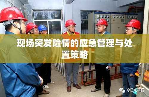 现场突发险情的应急管理与处置策略